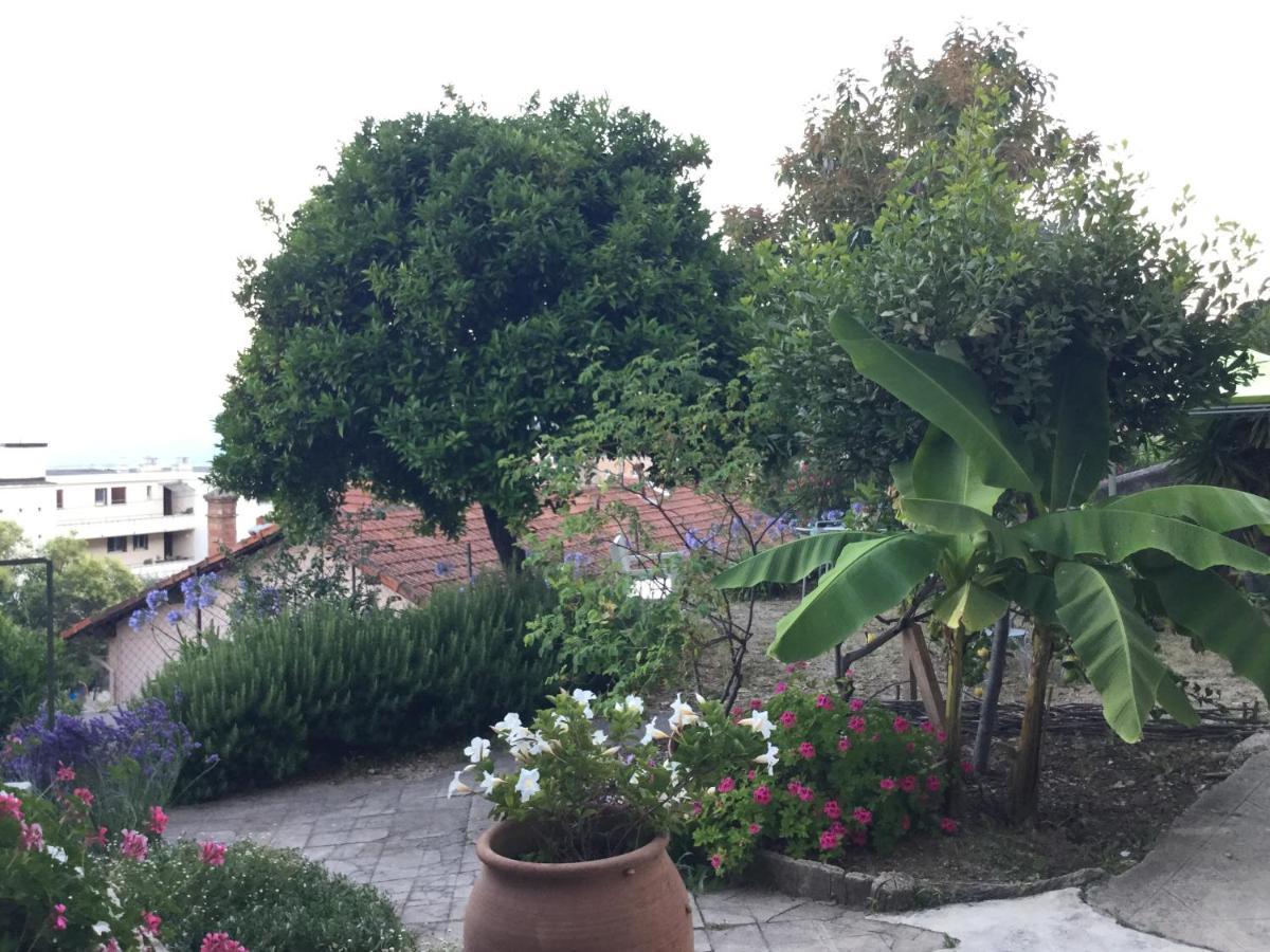 Bed and Breakfast Les Palmiers Grasse Exterior foto